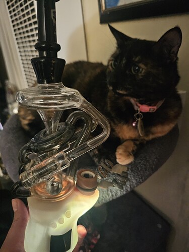 WhatsApp Image 2025-11-22 at 15.24.34 (3)